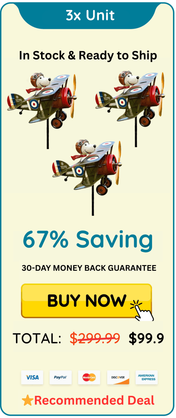 Windodream Sky Dreamer package 3