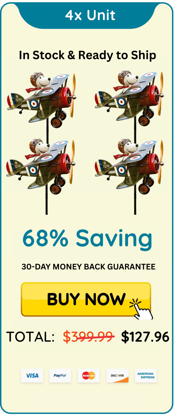 Windodream Sky Dreamer package 4